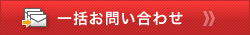 �ꊇ���₢���킹